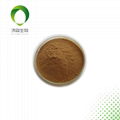 Butterbur extract 15% HPLC Robustin brown yellow powder 1