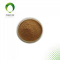 Butterbur extract 15% HPLC Robustin