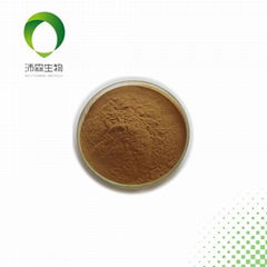 Butterbur extract 15% HPLC Robustin