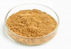 Rhodiola extract Salidroside 