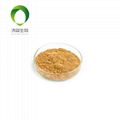 Rhodiola extract Salidroside  anti-oxidation 3%HPLC 2