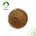 Kava Extract Cava lactone Antidepressant 30%HPLC 1