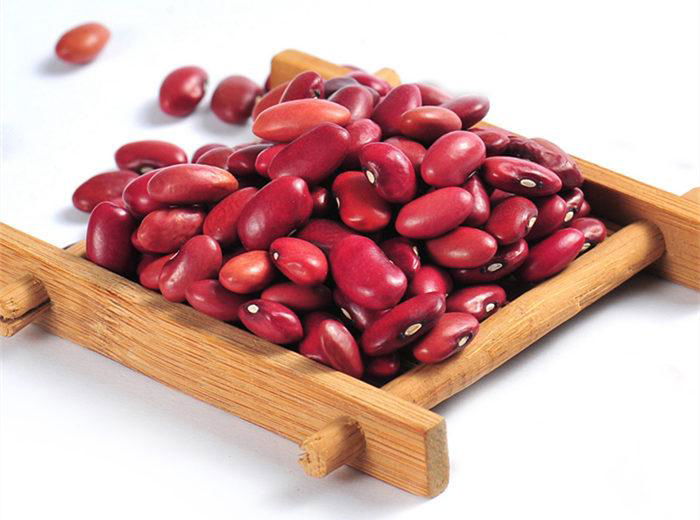 Red Kidney Bean for Sale with the Best Price 