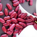 Red Kidney Bean for Sale with the Best Price  4