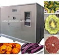 LANTAI microwave vacuum food dryer machine for fruit ,vegetable