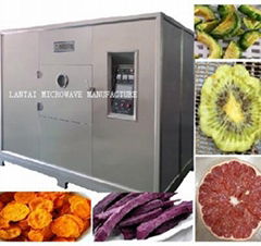 LANTAI microwave vacuum food dryer