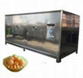 LANTAI Microwave Fruit And Vegetable Spices Dryer