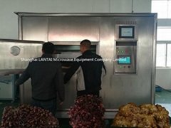 LANTAI Microwave Meat Dryer Machine