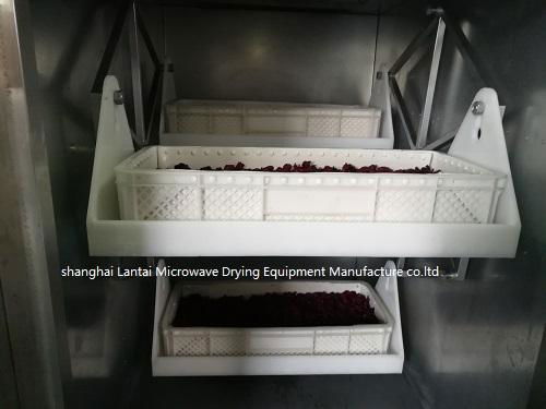 LANTAI Microwave Rose Drying Sterilization Sterilizer Equipment