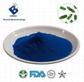 Spirulina Blue (Phycocyanin)  E25