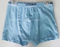 Men's Trunk 1