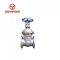 OEM professional pneumatic gate valve