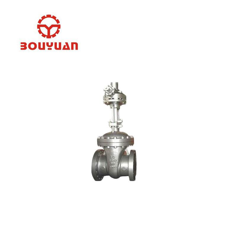 OEM professional pneumatic gate valve flange 3inch gate valve 2