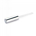 32.768khz Crystal Dip Type Tuning Fork