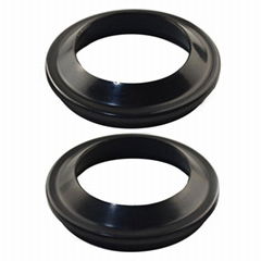 oil seals