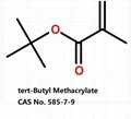 tert-butyl methacrylate 1