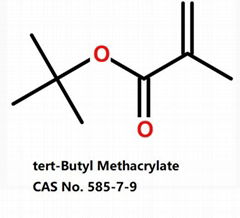 tert-butyl methacrylate