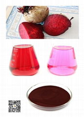 Beetroot red color C.V.4-300