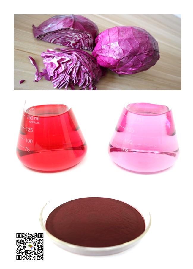 cabbage red powder