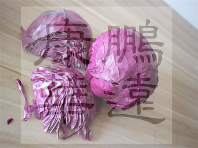 cabbage red powder 2