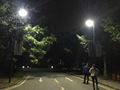 Solar Street Light 1