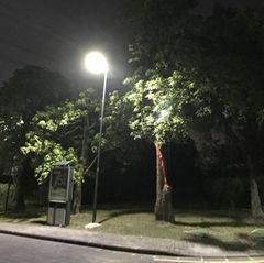 Integrated solar street light