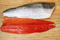Salmon Fish 3