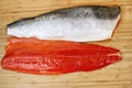 Salmon Fish 3