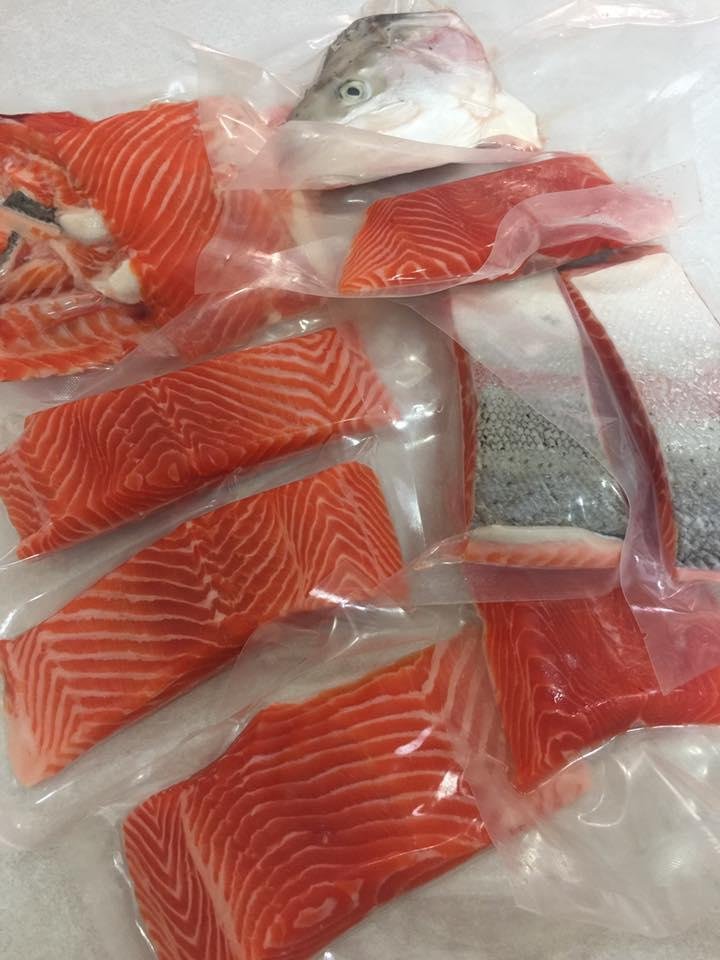 Salmon Fish 4