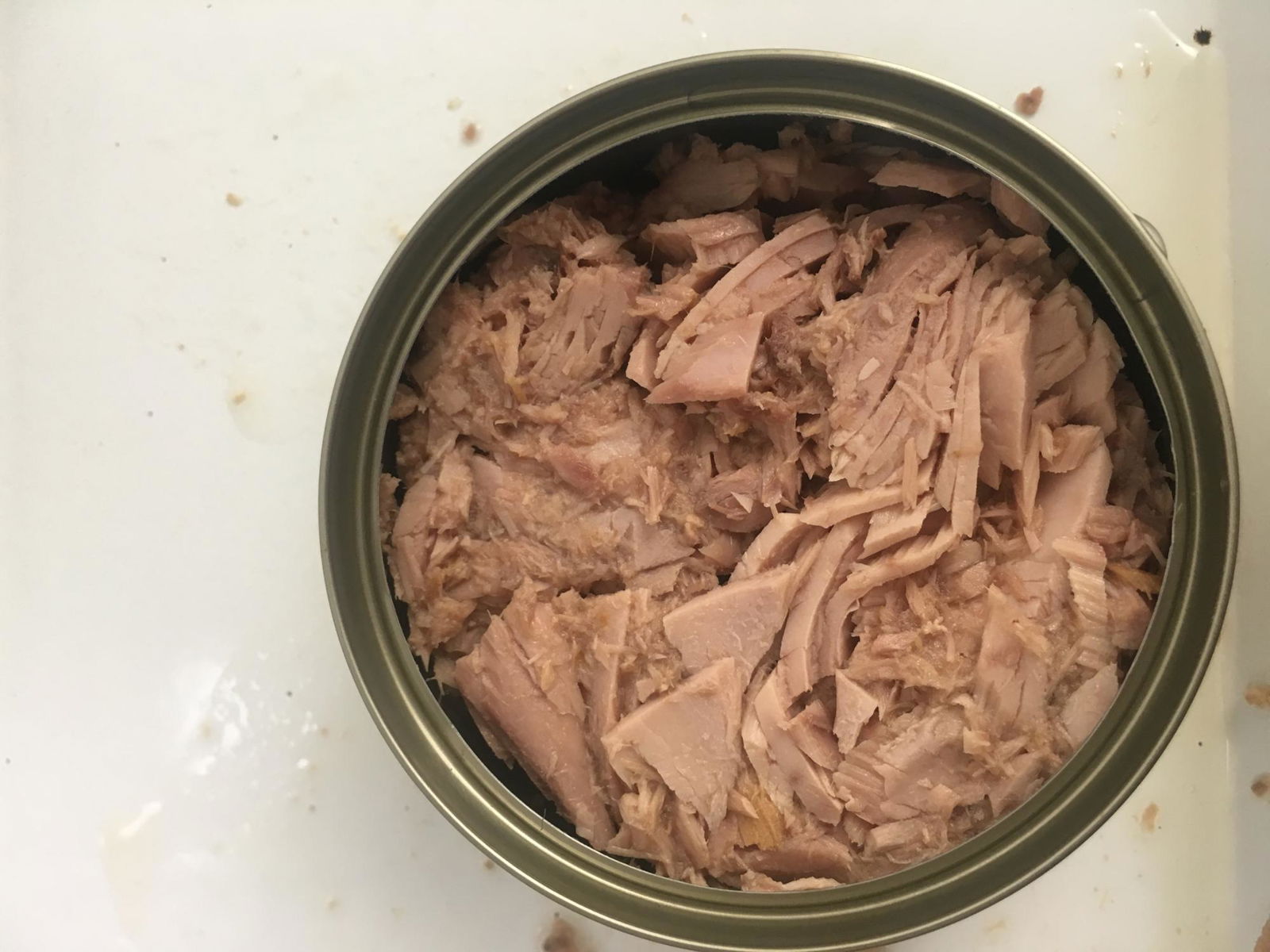 Canned Tuna 2