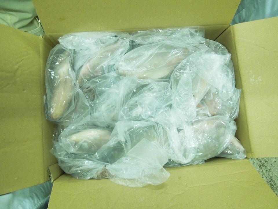 Frozen Tilapia Fillet, Whole tilapia