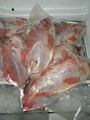 Frozen Tilapia Fillet, Whole tilapia 3