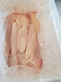 Frozen Tilapia Fillet, Whole tilapia 5