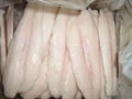 well trimmed frozen pangasius fillets 3