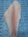 well trimmed frozen pangasius fillets 5