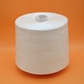 100 polyester sewing thread 20s/2 dyeing tube 1