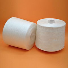 Sewing Used Polyester Yarn 60s/2 dyeing tube