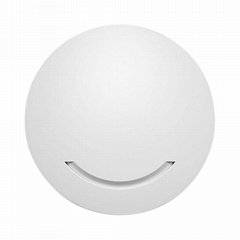 11AC Dual Band 600Mbps Openwrt Ceiling Access Point