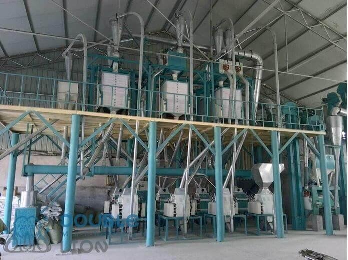 40T/24h Flour Mill Plant-Leading Manufacturer of Wheat Flour Mill Machine & Flou 3