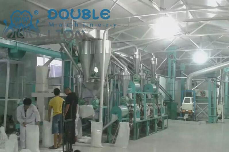 40T/24h Flour Mill Plant-Leading Manufacturer of Wheat Flour Mill Machine & Flou 4