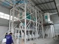 50T/24h Automatic Wheat Flour Mill Plant