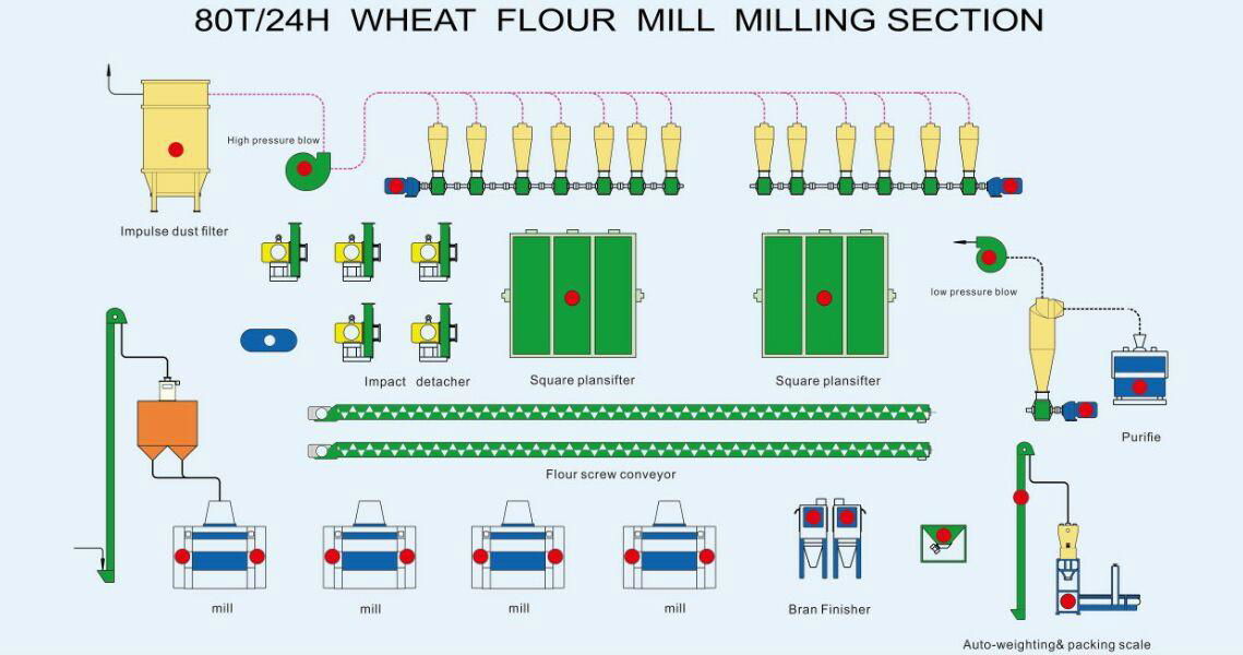 Leading Factory of Wheat Flour Mill Plant, Flour Mill Plant Layout and