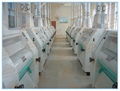 150T/H Flour Mill Plant-China Leading