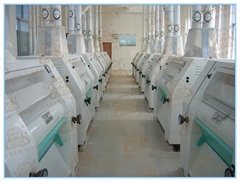 150T/H Flour Mill Plant-China Leading Factory of  Wheat Flour Mill Plant & Wheat
