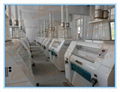 200T/24H Wheat Flour Mill Plant, Atta