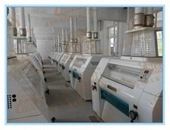 200T/24H Wheat Flour Mill Plant, Atta Flour Mill Plant & Flour Mill Machine Mach