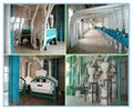 500T/D Large Wheat Flour Mill Plant-China Leading Factory of Wheat Flour Machine 3