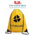 Custom Promotional 210D Polyester Drawstring Backpacks (RPPDB-2)