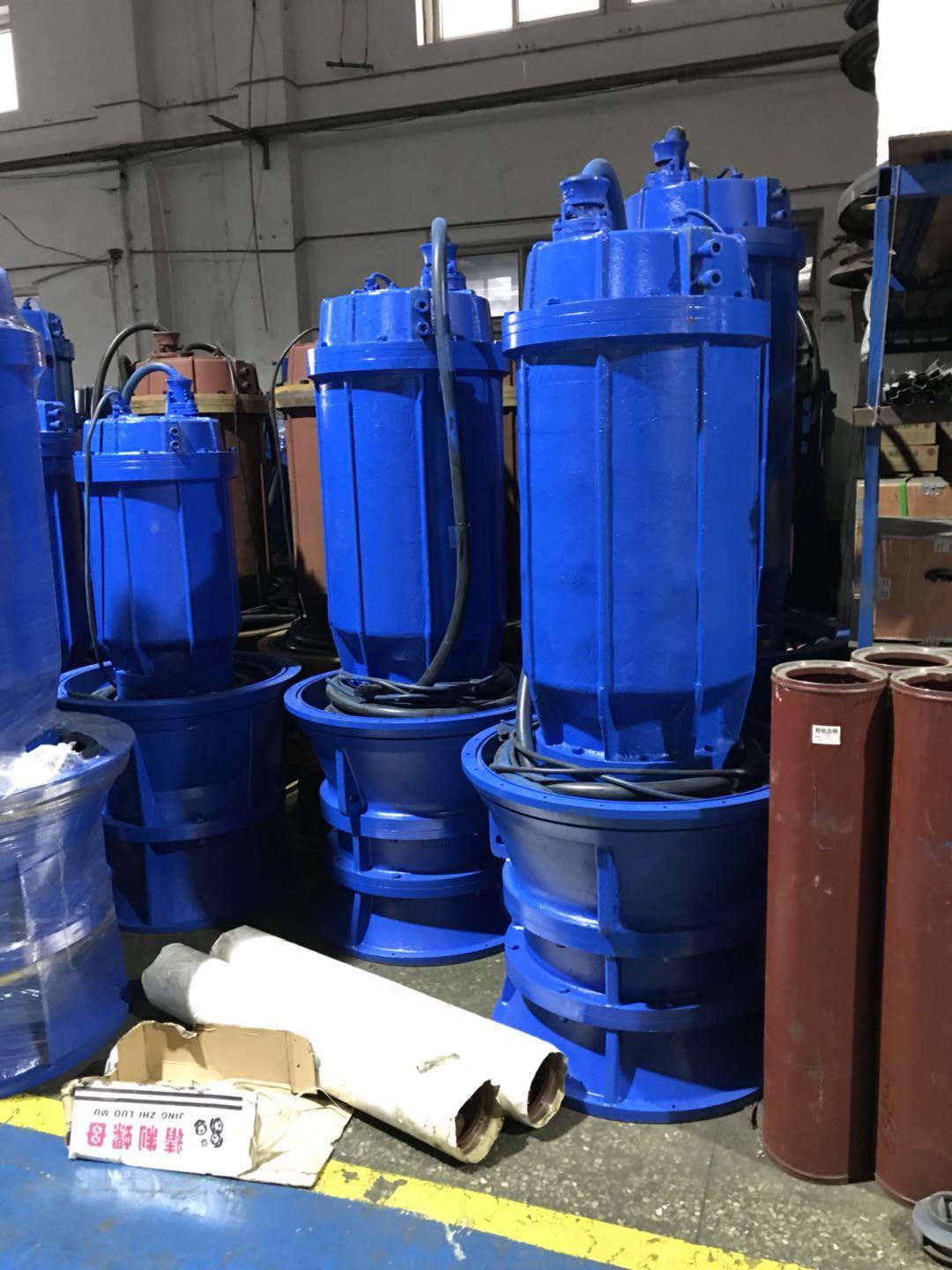 防洪排澇泵站水處理大流量臥式潛水軸流泵 2