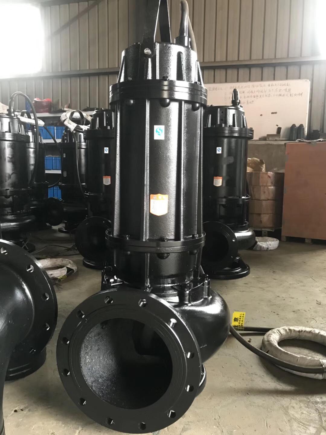 廠區污水處理大流量污水泵 2